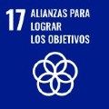 Icono del Objetivo de Desarrollo Sostenible 17