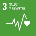 Icono del Objetivo de Desarrollo Sostenible 3